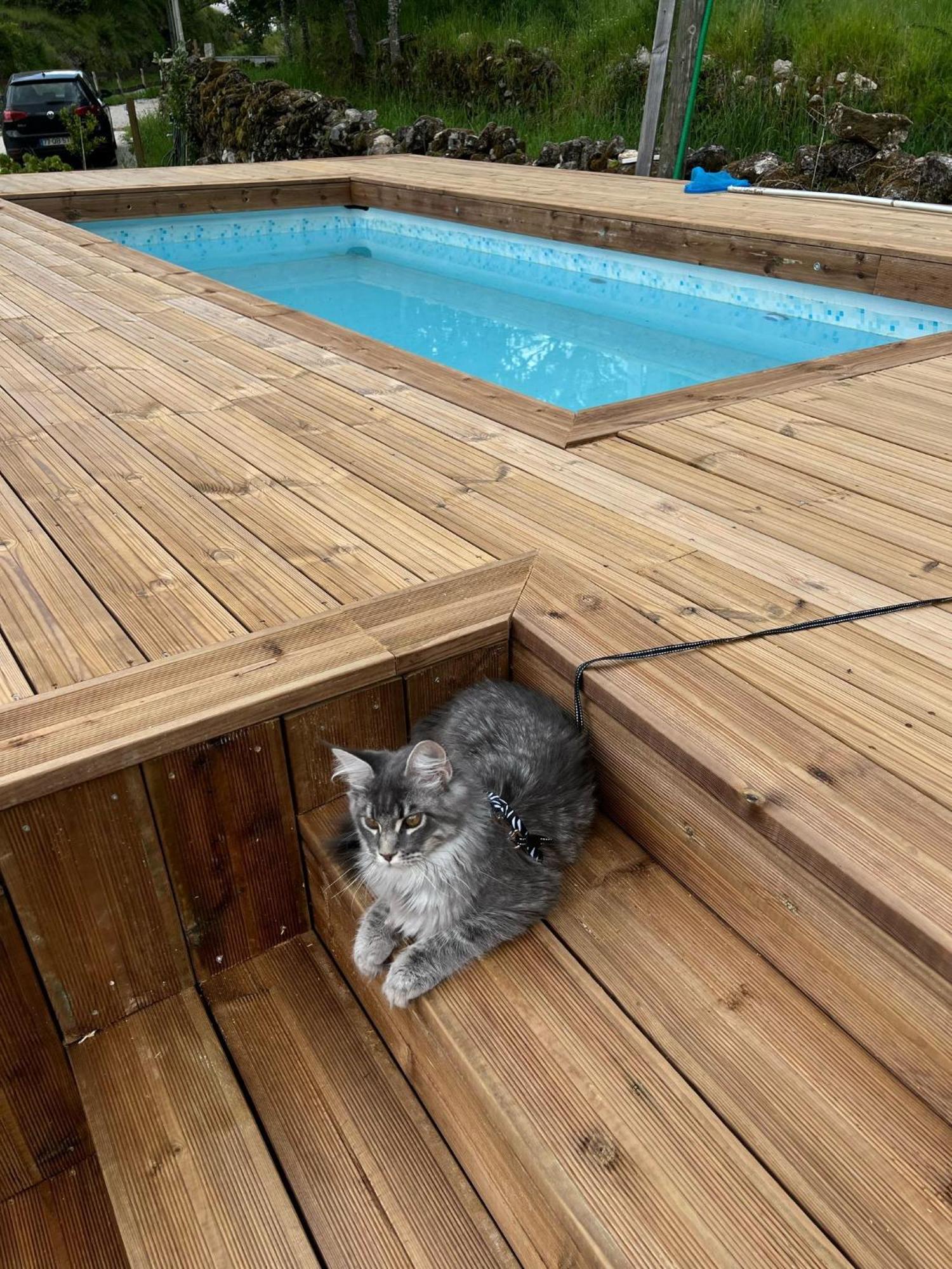 Ohana Geres House Ruivãis Kültér fotó